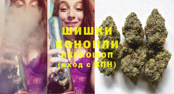 крисы Балахна