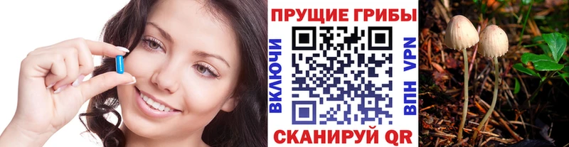 ОМГ ОМГ как зайти  купить наркотик  Белово  Галлюциногенные грибы мицелий 