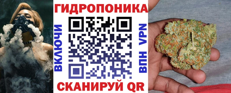 дарнет шоп  Белово  МАРИХУАНА OG Kush 